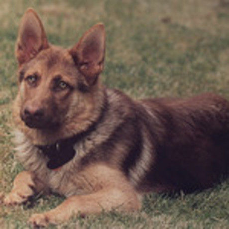 5376081041 5ffd74270e q