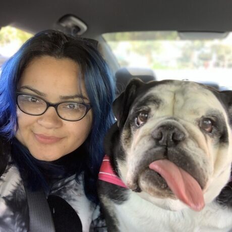 94e20d9f 142a 4e1f ab03 f769caf6d730