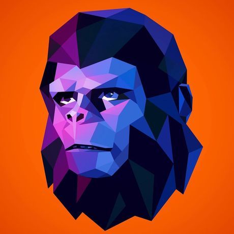 10382117 10152135345653034 4126799444608495749 o