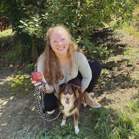 29035a8f b458 46c3 866d 413afd8b07ea