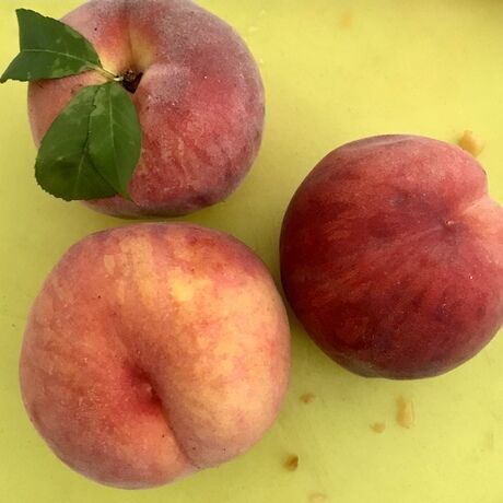 5aa850c4 66f0 4579 ad76 4280c5c04040