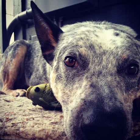 Screen shot 2014 10 09 at 5.47.12 pm