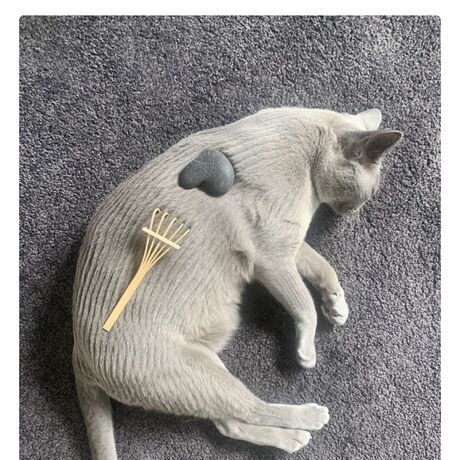 Screenshot 20211103 123549 gmail