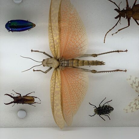 6a3c7dd1 0352 4e63 9d62 c8a1566b8bf8