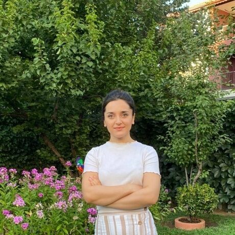 Inbound1525190896536695768