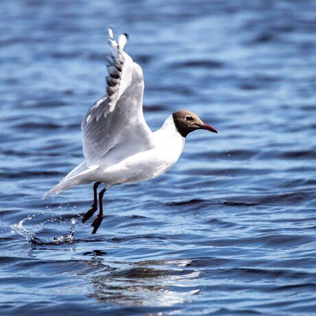 Inbound5240257269245413070