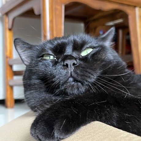 42fef46b fc38 47b6 80d5 3d93a64f7505