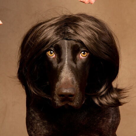 70bf22f0 bf7f 4197 a8a8 dd33aeeac92a