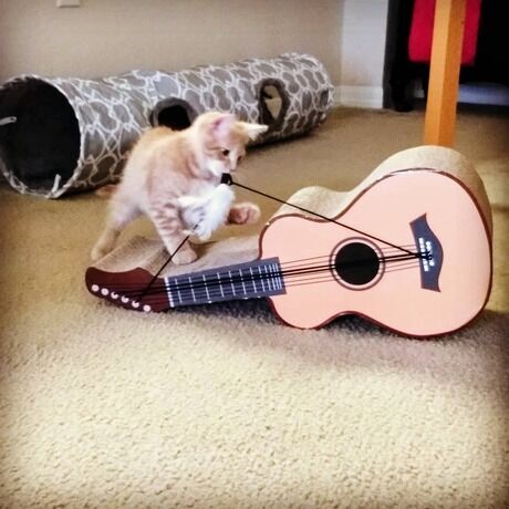 Jaspurr  playing guitar 06.14.2020