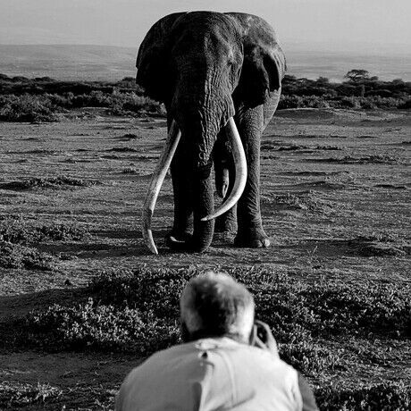 David yarrow ambassadorial roles in london