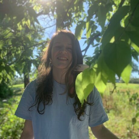 7080904b 6005 40d7 9c54 f7533b4058da