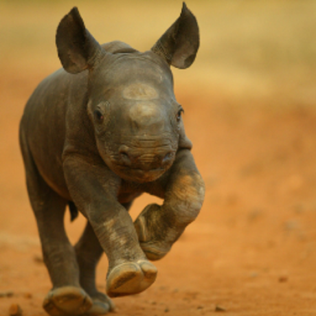 28b7dea437a15500eca7ec1d2d1ccfb5