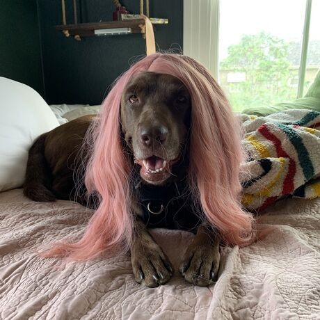 3e58bfb7 180f 43ed 8de6 235b526c82ba