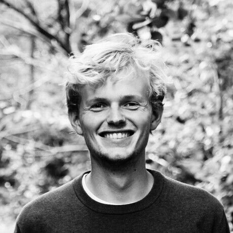 Meest actuele professionele foto