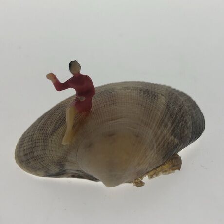 52483c3c 9640 44a5 b3dc 819be8a84214