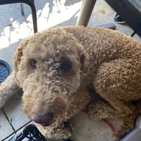 2cfd3ea5 5feb 4591 99ee b4aa5d86b9b5