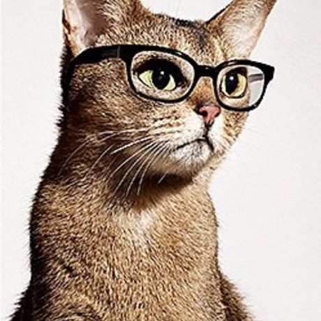 C7cf1c5fe08f94cc6045f4a8292bdfa8