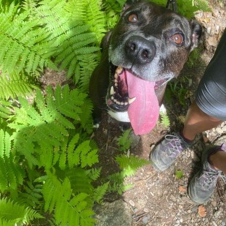 89cdf116 fe76 4a9f a9d4 fc1ec4a168b3