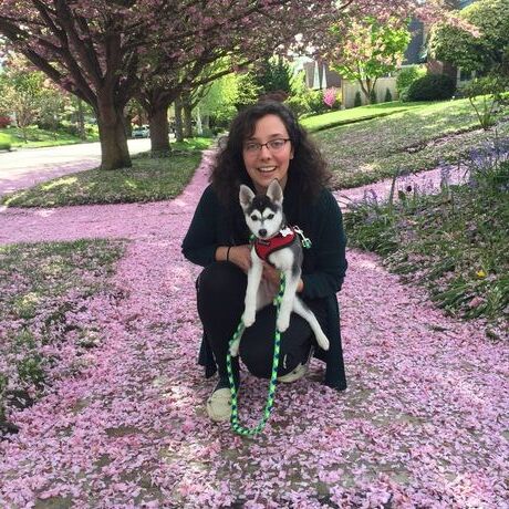 D0d05380 d3b5 4ed9 b41c fda248258bca