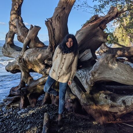 Pxl 20201107 213305327