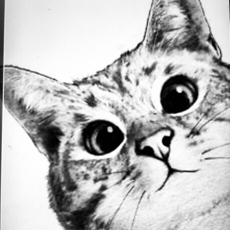 76f853bf 401d 4174 9b27 dff523e10e7b