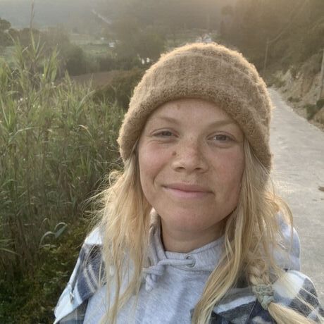 59d7db03 0436 489c ab65 b26b31a587f4