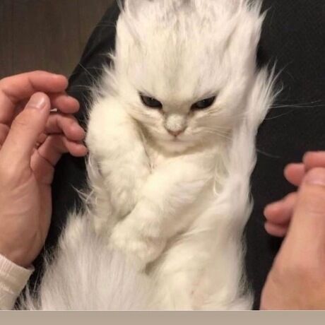 C3081816 fdfd 4fe7 9548 2a357467dc6d