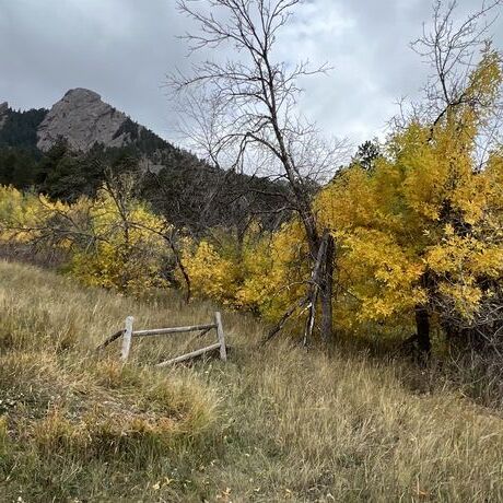 70f96de6 4b6c 40eb 93c8 ac2a5e4eaeb7