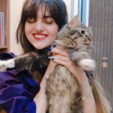 Ab4cbe9b 11cd 4aea a6c2 43465f439f43