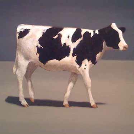 Cropped cow 3.5.1