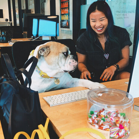 42ffdc04 5e6d 47b3 898c 50e266fbed9a