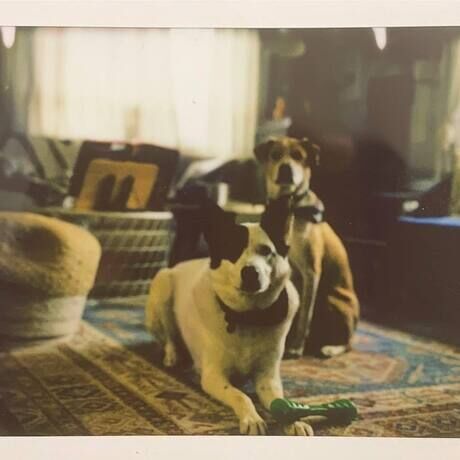 150208967 10224560016371517 1344561924254013293 n