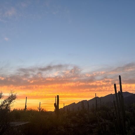 03bbb3b2 397e 4c0f af81 57e5ed2ab336