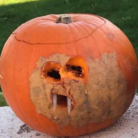 22789113 10214347168944147 2283859538926182616 n