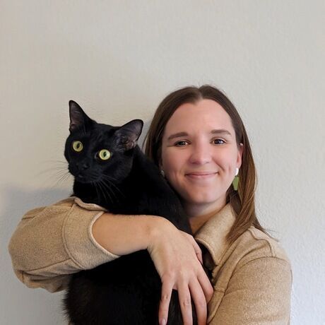 9c911d80 5c47 4427 b790 e35a2c10a487