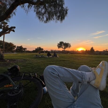 0f502820 fe4d 4379 b013 0070e49c424a