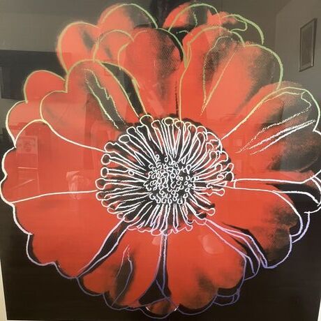 A6e74fc0 dbef 420d abca 1b416c6da009