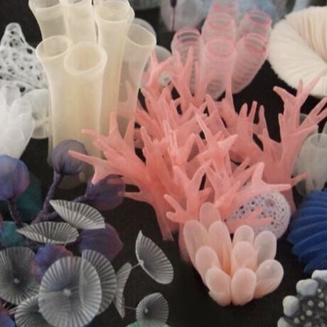 49fd8bd4d2d3c2a3fd3e4c975452e870