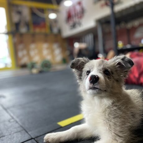 323e327e 69eb 4fe8 9185 029803349f11