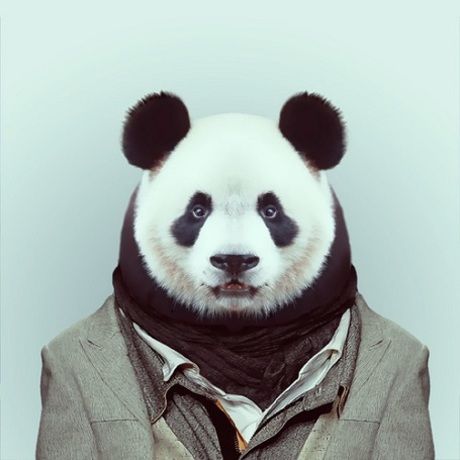 Pandaman