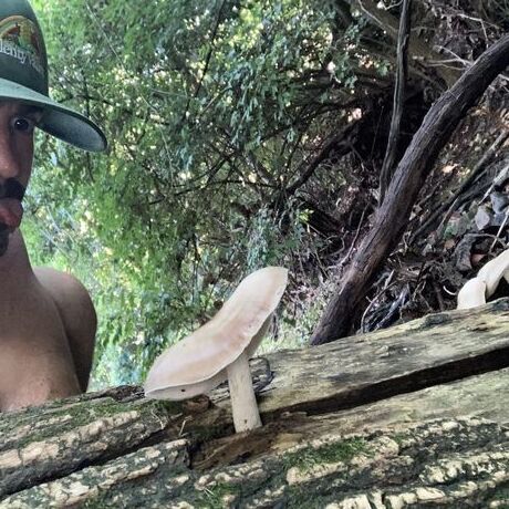 0b45541f bce2 4e0e 8ede af13d59be172