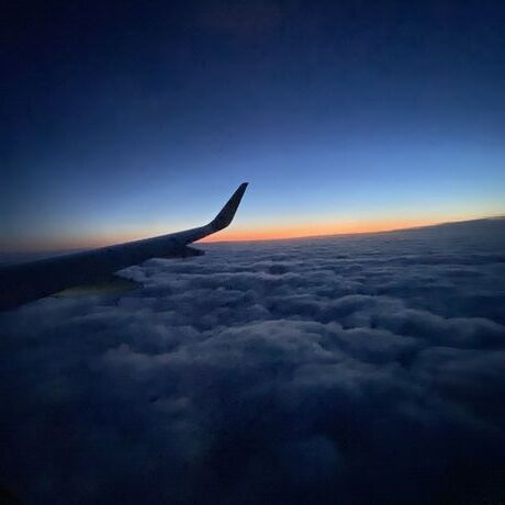 0acfe3ff fa4e 4422 a557 7aee79ea7886