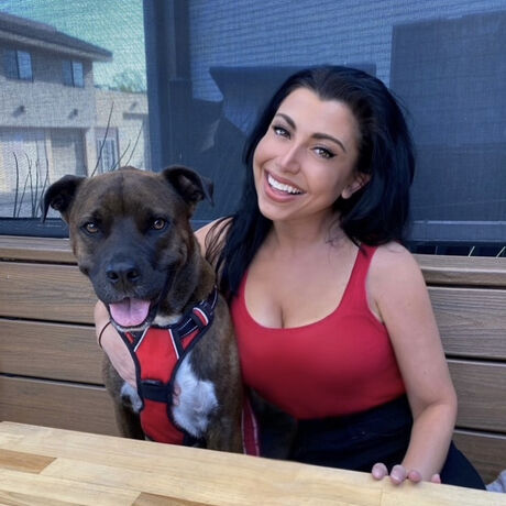 431246c8 4ff1 445f 96db 53e6225b22f8