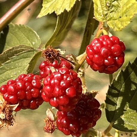 770b7239 b404 4531 a655 8c7cb090e881