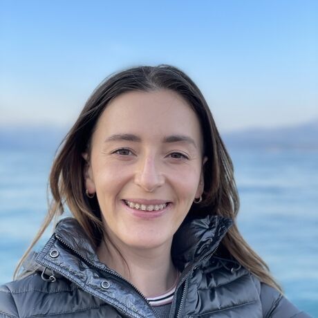 Cddadfc1 626e 43e4 8ff4 3947fc51b702