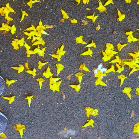 Img 20200823 074832820