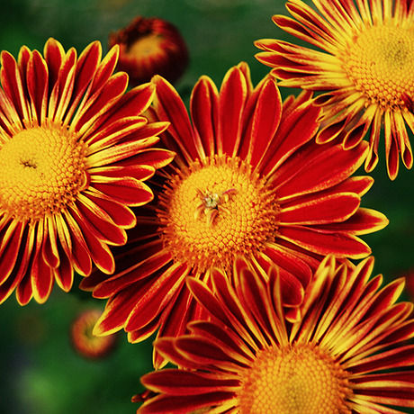 warmth 2