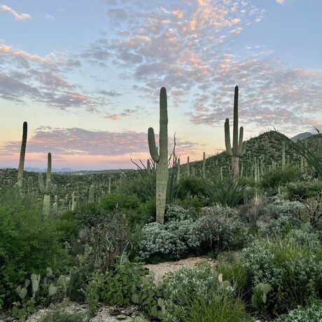 208b16f1 8a2e 46e4 a0bd b20870f4ec32