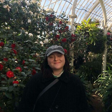 9af7e9e3 969b 4721 b90f 8f29fabc6581