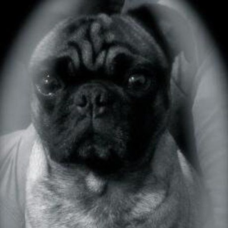 33141e081aeb522190cef59e371e18e1